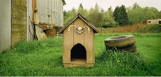 肉鸽式新养成！《铸仙之境》删档计费测试定档10月23日